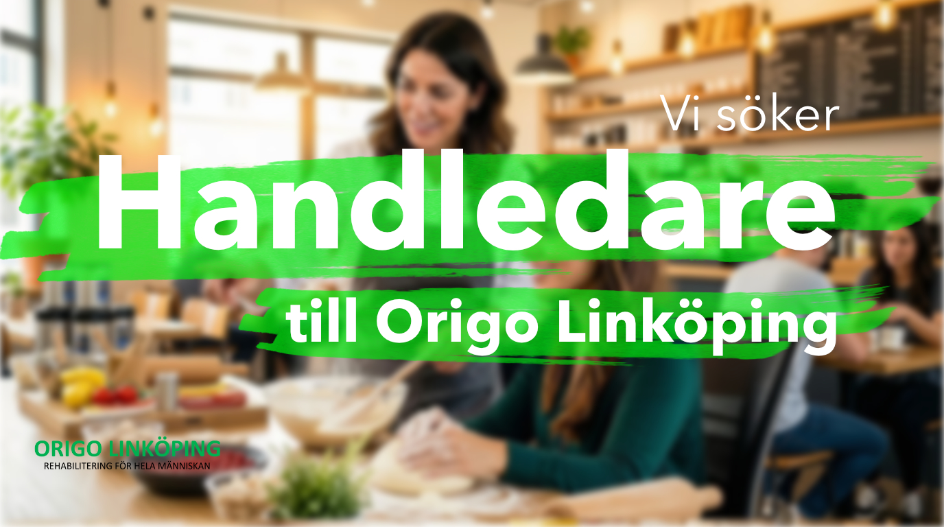 Annons Origo 2026